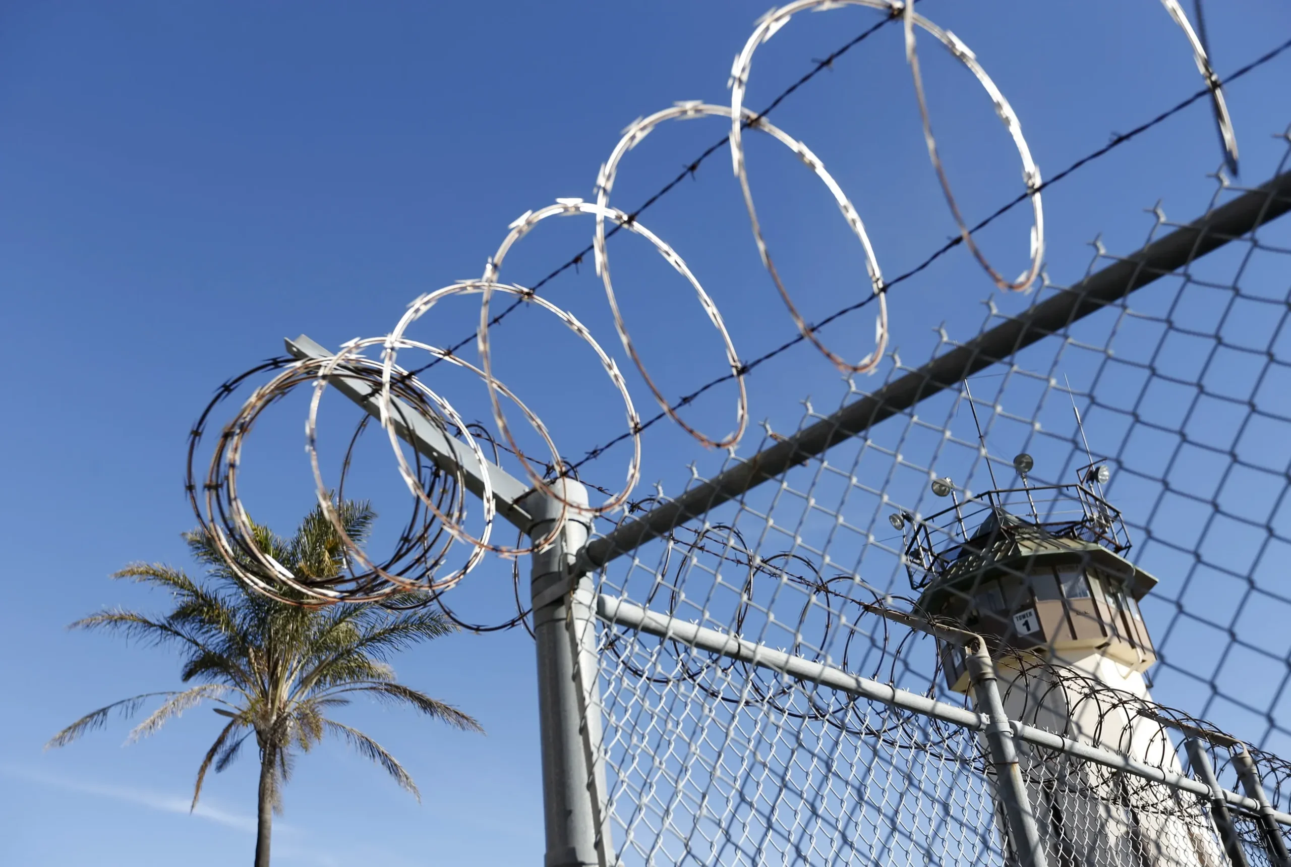Razor wire against a blue Miami sky and palm trees